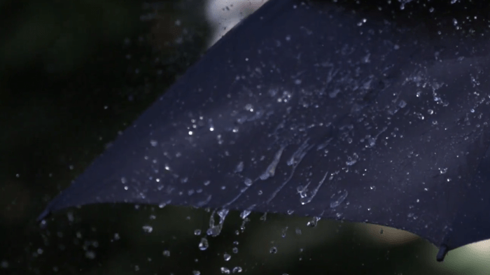 VERIFY: What does a '50% chance of rain' actually mean? | wqad.com